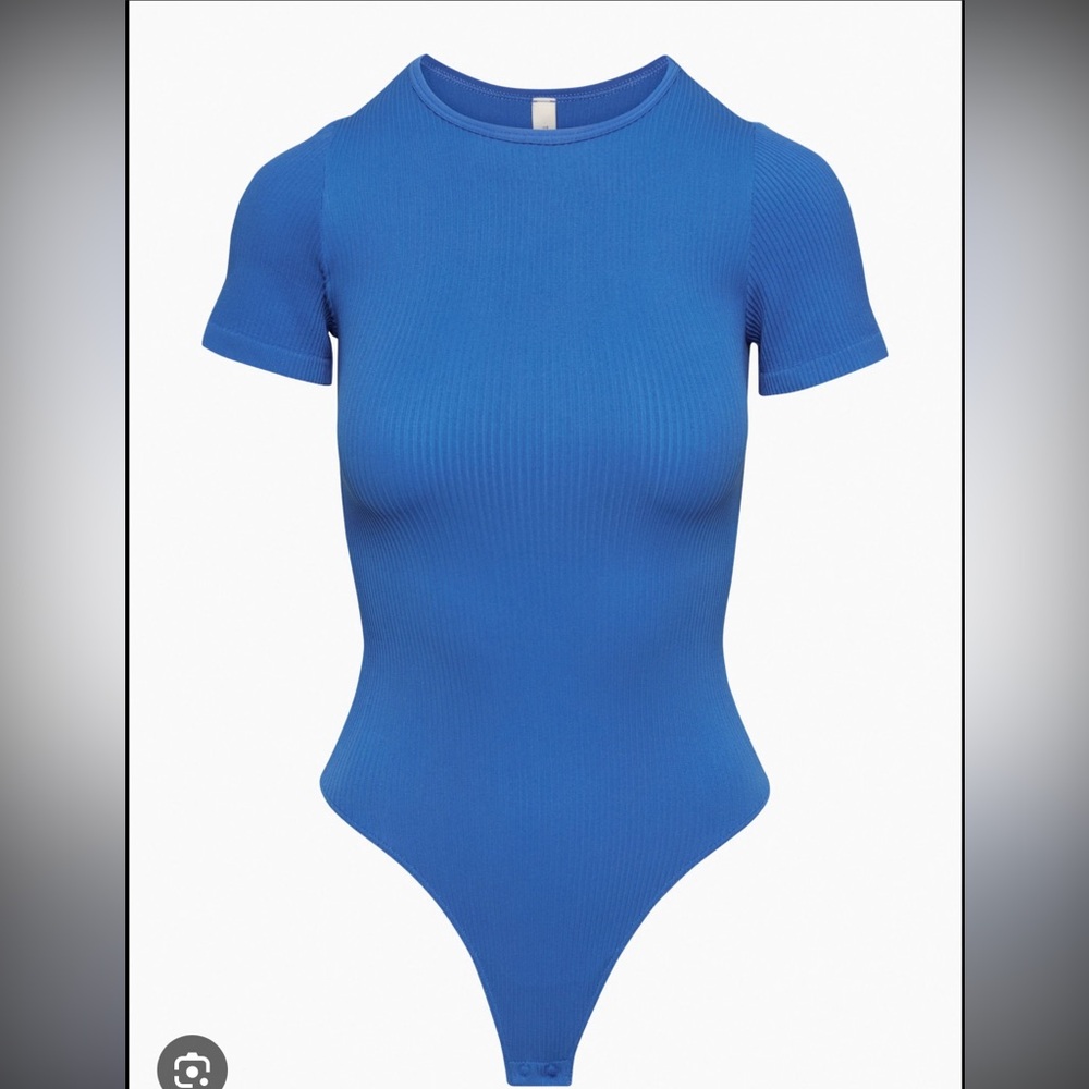 Aritzia Blue Ribbed Bodysuit